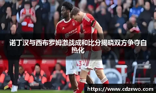 诺丁汉与西布罗姆激战成和比分揭晓双方争夺白热化